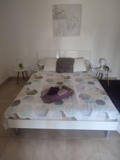 Appartement Romana Puissalicon 34 Extérieur photo